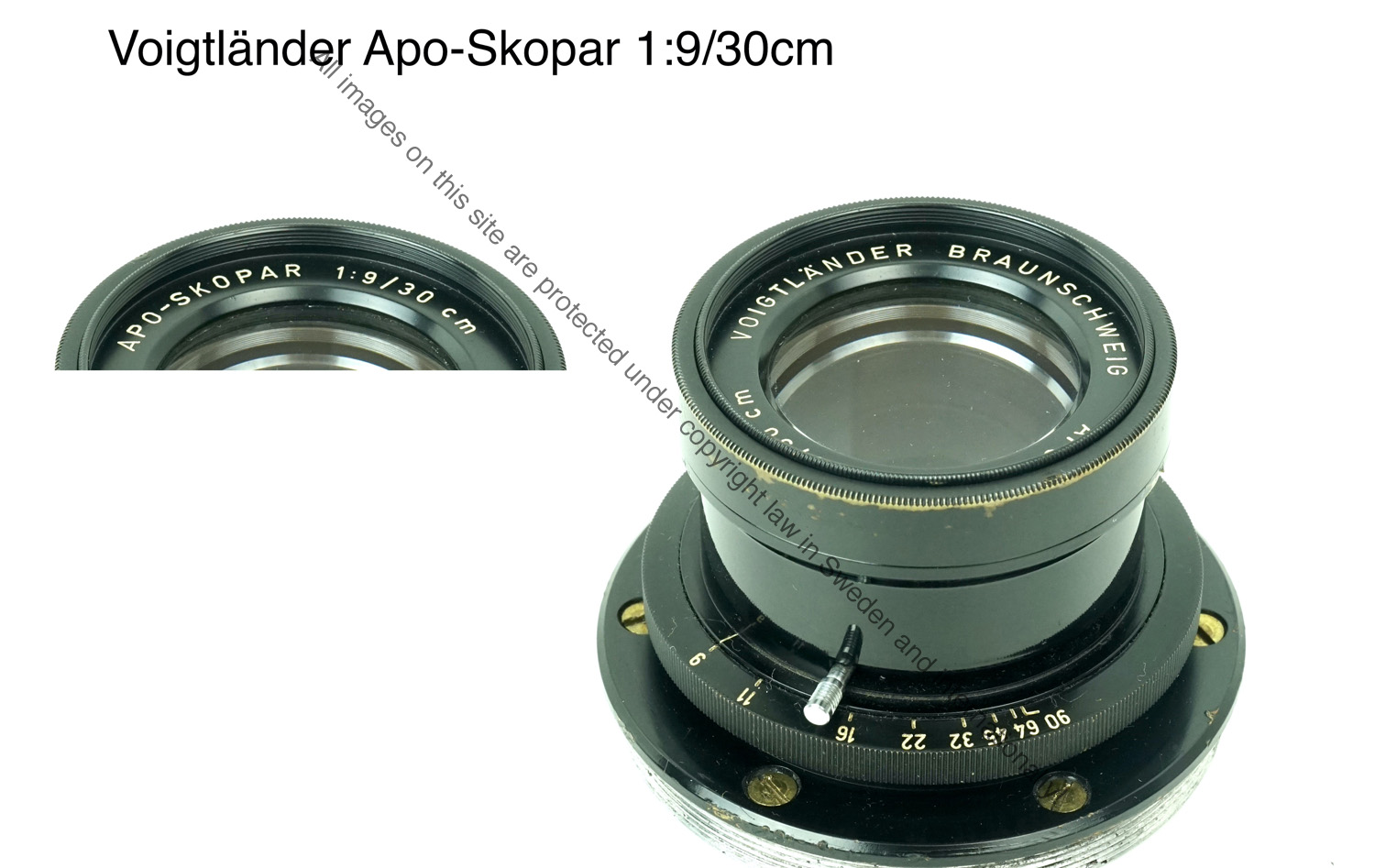 Voigtlander Apo-Skopar0063